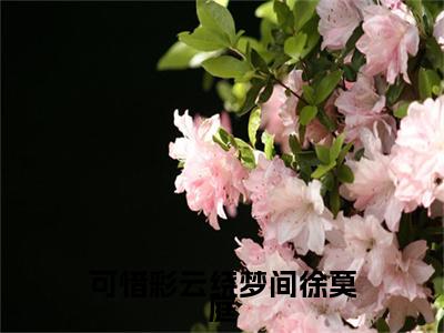 可惜彩云绕梦间徐莫庭后续(可惜彩云绕梦间徐莫庭)（徐莫庭段弥月）完整章节列表_笔趣阁