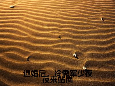 退婚后，冷傲军少夜夜来站岗小说（霍睿扬夏安然）前文+全本完整阅读预售作品抢先看