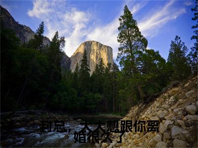 封总，太太想跟你离婚很久了小说（容辞封庭深）起点章节+全篇阅读热门作品预订