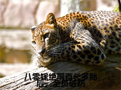 陆时宴顾锦书八零嫁绝嗣首长多胎后，全员破防特别篇章节目录+章节前文（八零嫁绝嗣首长多胎后，全员破防）TXT清爽版在线
