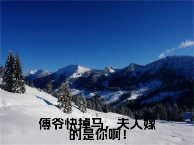 傅闻洲沈清欢：结局+番外新上热文（傅爷快掉马，夫人嫁的是你啊！）最近章节列表