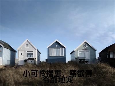 小可怜揣崽，禁欲傅爷跪地宠小说叫什么(舒窈窈傅煜琛)小说全集阅读无广告（小可怜揣崽，禁欲傅爷跪地宠）番外+续集