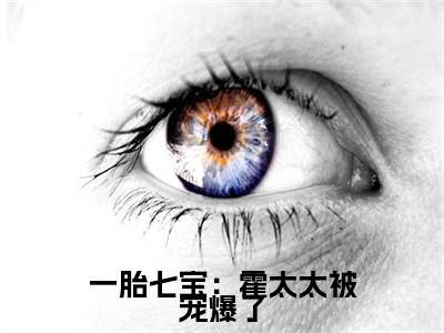 小说大结局小说霍延西小说已更新+特别篇（一胎七宝：霍太太被宠爆了）纯净版