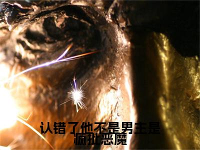 认错了他不是男主是疯批恶魔附加完整在线阅读（纪雪礼段清聿）最近更新列表