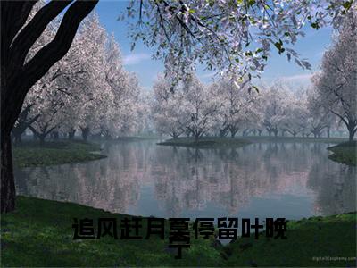 追风赶月莫停留叶晚宁后续(追风赶月莫停留叶晚宁)（沈墨寒叶晚宁）完整章节列表_笔趣阁