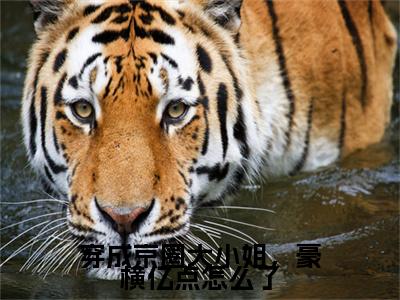 （厉怀谦孟卿杳）穿成京圈大小姐，豪横亿点怎么了后续一口气无广告全书章节表