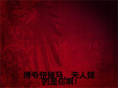 （傅闻洲沈清欢）傅闻洲沈清欢(傅爷快掉马，夫人嫁的是你啊！)无套路无弹窗全部章节列表
