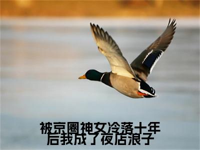 （头条）孟扶摇睿渊(被京圈神女冷落十年后我成了夜店浪子)整本免费版阅读无广告（孟扶摇睿渊）