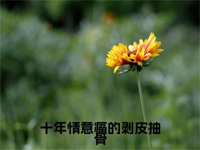 裴旻知顾芷柠小说(十年情意痛的剥皮抽骨)章节目录+起点章节（裴旻知顾芷柠）全篇清爽版在线