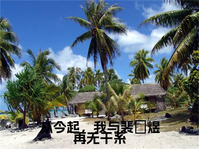洛颜裴璟煜：结局+番外（从今起，我与裴璟煜再无干系）全本完整+后续+结局在线阅读