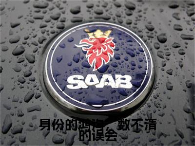 在线阅读（桑南星顾彦珩）身份的鸿沟，数不清的误会：结局+番外看点十足全文+后续