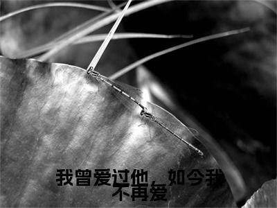 我曾爱过他，如今我不再爱 楚温宁崔泽白：+后续热血十足+延伸+完本（我曾爱过他，如今我不再爱）畅享在线阅读
