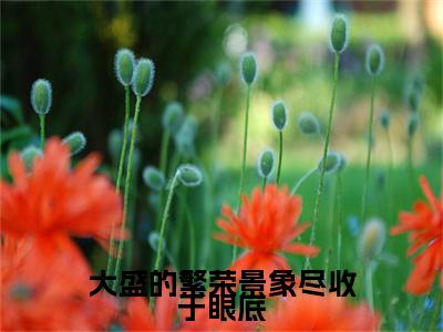 孟莹姝陆鼎鸿附加(孟莹姝陆鼎鸿)（大盛的繁荣景象尽收于眼底）全本浏览阅读连载中