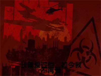 我曾爱过他，如今我不再爱：结局+番外免费品鉴(楚温宁崔泽白)全书在线无广告高口碑小说