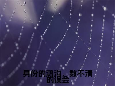 身份的鸿沟，数不清的误会小说(桑南星顾彦珩)小说全集阅读连载中（身份的鸿沟，数不清的误会）_笔趣阁