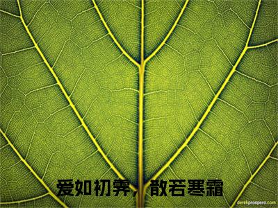 爱如初霁，散若寒霜小说番外+结局（云窈顾寒时）小说在线阅读