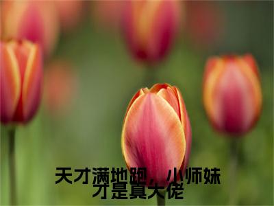 天才满地跑，小师妹才是真大佬续集(凤宁谢凌)全本完整免费版_起点章节+后续（天才满地跑，小师妹才是真大佬）