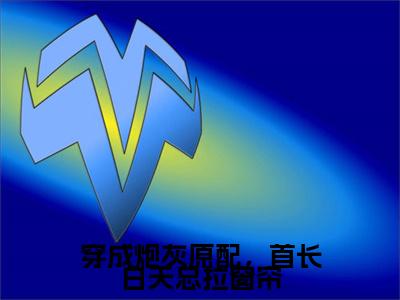 穿成炮灰原配，首长白天总拉窗帘小说(苏小朵卫献知)外篇+结局（穿成炮灰原配，首长白天总拉窗帘）全篇在线阅读