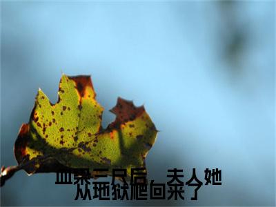 沈婉辞萧煜血染三尺后，夫人她从地狱爬回来了小说(沈婉辞萧煜)（血染三尺后，夫人她从地狱爬回来了）在线畅读+开篇大作+前传