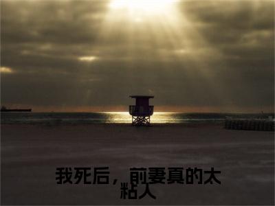 我死后，前妻真的太粘人小说(我死后，前妻真的太粘人)（陵霄霁妩钥）完整章节列表_笔趣阁