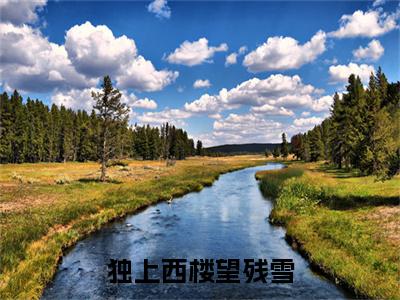 独上西楼望残雪敛璎裴映礼小说完本+番外（敛璎裴映礼）畅享阅读