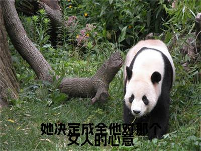 她决定成全他对那个女人的心意小说(姜念瑶周斯越)序章+全章阅读（她决定成全他对那个女人的心意）最新章节