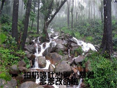 热门章节_笔趣阁（拍奶嗝吐心声，暴君爹爹改命啦）拍奶嗝吐心声，暴君爹爹改命啦小说(濮阳安澜即墨瑾)章节在线阅读