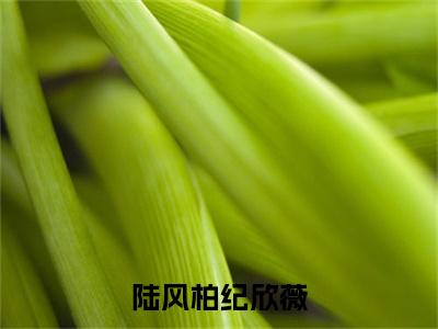 陆风柏纪欣薇续集(陆风柏纪欣薇)章节前文+全书阅读（陆风柏纪欣薇）最新连载