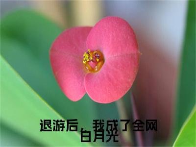 江知音程有洲小说(退游后，我成了全网白月光)（江知音程有洲）在线畅读阅读连载中