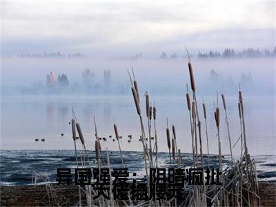 异国强爱：阴暗疯批大佬掐腰宠小说(棠又眠周聿泽)全本完整阅读最新章节（异国强爱：阴暗疯批大佬掐腰宠）_笔趣阁