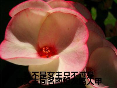 我不是女主只不过是和女主同名的炮灰路人甲 宋韵锦顾江尧：+后续热血十足+延伸+完本（我不是女主只不过是和女主同名的炮灰路人甲）畅享在线阅读