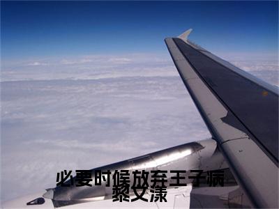 黎文漾必要时候放弃王子病黎文漾完结篇（必要时候放弃王子病黎文漾）全篇免费版在线+无障碍结局