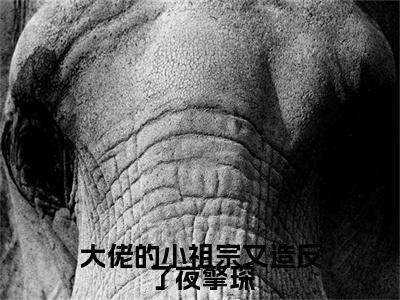 大佬的小祖宗又造反了夜擎琛：结局+番外新上热文（谢清浅夜擎琛）全篇免费版在线+无障碍结局