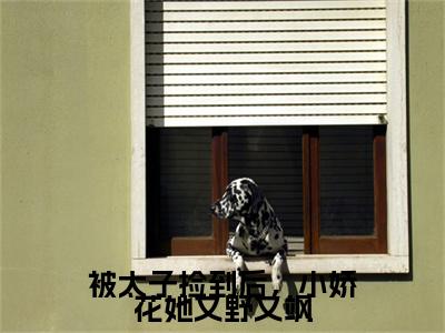 被太子捡到后，小娇花她又野又飒钟离廷如花花完结篇全篇阅读无广告（钟离廷如花花）番外+续集