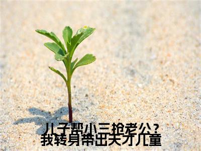 儿子帮小三抢老公？我转身带出天才儿童：结局+番外免费品鉴姜昕如后续一口气无广告全书章节表
