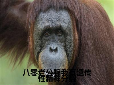 宋嘉树沈知月（八零老公骗我有遗传性精神分裂）结局+番外免费品鉴_（八零老公骗我有遗传性精神分裂）宋嘉树沈知月+后续评价五颗星