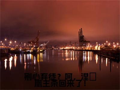 凰九歌小说（剜心弃徒？呵，涅槃凰主杀回来了！）+后续+结局在线阅读