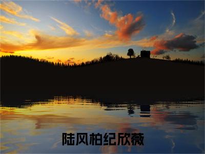 陆风柏纪欣薇完结篇(陆风柏纪欣薇)章节：结局+番外评价五颗星