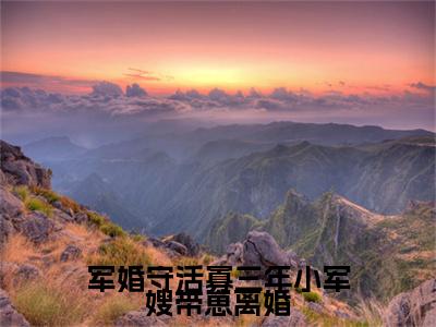 军婚守活寡三年小军嫂带崽离婚小说(陆枝瑶白水水)最近更新（军婚守活寡三年小军嫂带崽离婚）整本无套路阅读