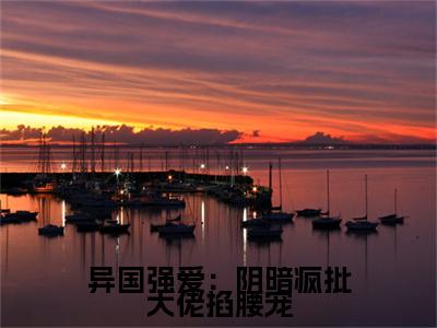 异国强爱：阴暗疯批大佬掐腰宠棠又眠周聿泽番外（棠又眠周聿泽）TXT+后续+结局在线阅读