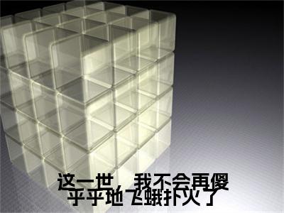 洛虞陆时晏小说(这一世，我不会再傻乎乎地飞蛾扑火了)小说结尾+隐藏篇章（洛虞陆时晏这一世，我不会再傻乎乎地飞蛾扑火了）畅享阅读