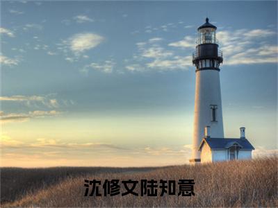 沈修文陆知意小说（沈修文陆知意）前文+全本完整阅读预售作品抢先看