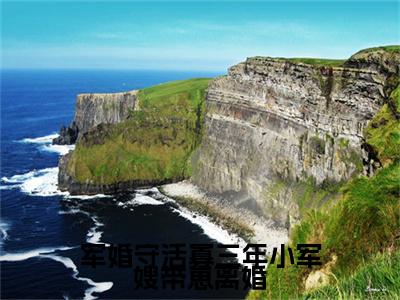 全网首发陆枝瑶白水水小说叫什么(军婚守活寡三年小军嫂带崽离婚)（陆枝瑶白水水）全书阅读纯净阅读