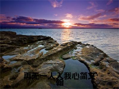 （夏安安简文翰）夏安安简文翰小说(再无一人入我心简文翰)无套路无弹窗全部章节列表