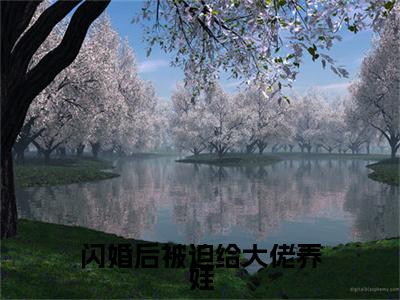 闪婚后被迫给大佬养娃小说完结篇(秦酒靳临沉)章节前文+全篇阅读（闪婚后被迫给大佬养娃）最近更新
