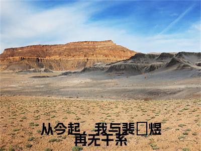 （头条）洛颜裴璟煜小说(从今起，我与裴璟煜再无干系)整本免费版阅读无广告（洛颜裴璟煜）