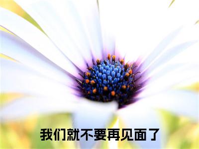 我们就不要再见面了是什么小说(楚云溪寻云践)（我们就不要再见面了）全本完整清爽版在线+无广告结局