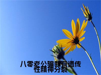宋嘉树沈知月 小说小说全集+延伸+完本（八零老公骗我有遗传性精神分裂）畅享在线阅读