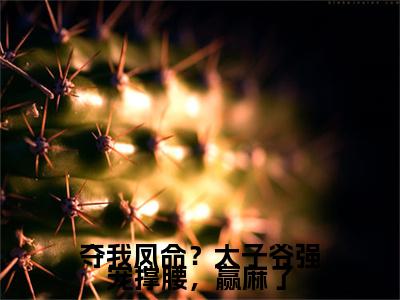 精选热门小说夺我凤命？太子爷强宠撑腰，赢麻了（姜无言萧瑾序）-（姜无言萧瑾序）夺我凤命？太子爷强宠撑腰，赢麻了免费阅读