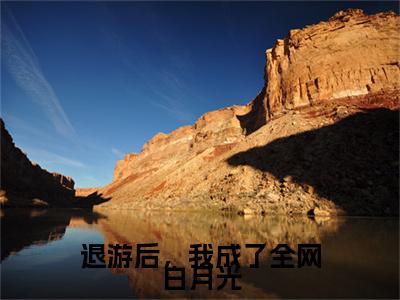 （退游后，我成了全网白月光）江知音程有洲：+番外+后续起点章节+阅读即将发布预订
